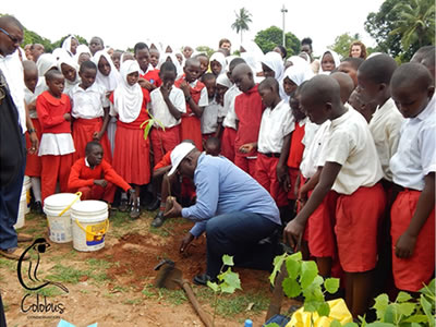 tree planting initiative